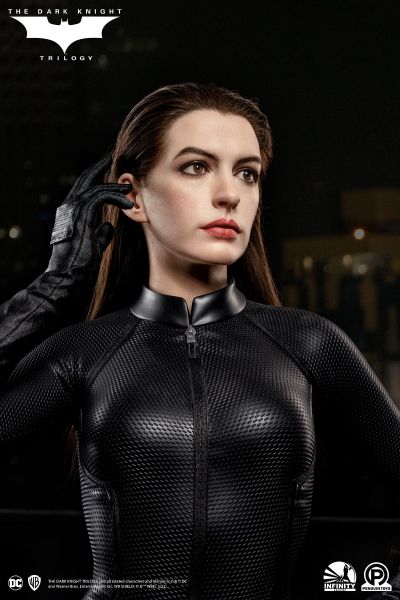 黑暗骑士掘起 塞琳娜·凯尔 半身像