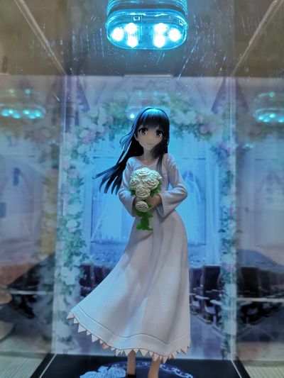 Coreful  青春猪头少年不会梦到怀梦美少女 牧之原翔子