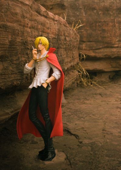 Portrait.Of.Pirates　海贼王