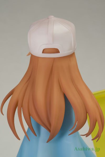 工作细胞 血小板