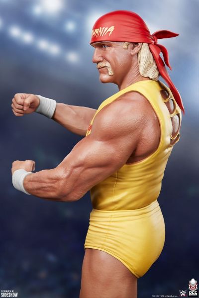 HULKAMANIA! 浩克·霍根