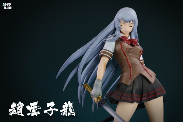 一騎当千 Dragon Destiny 趙雲子龍