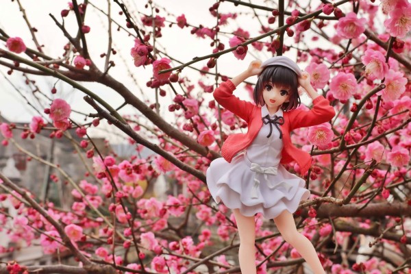 Coreful  青春猪头少年不会梦到怀梦美少女 牧之原翔子