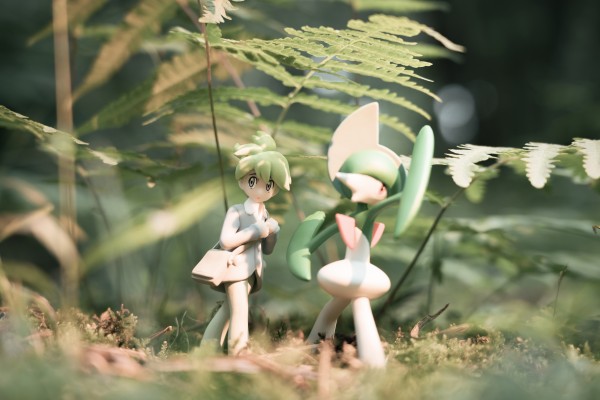 宝可梦比例世界 丰缘地区 满充+艾路雷朵