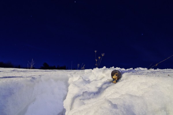 ちびきゅんｷｬﾗ 迷你Q『偶像大师 灰姑娘女孩』 ～COOL VISUAL～ 安娜斯塔西娅