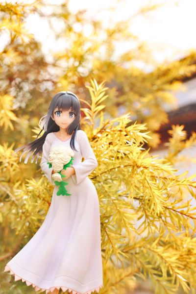 Coreful  青春猪头少年不会梦到怀梦美少女 牧之原翔子