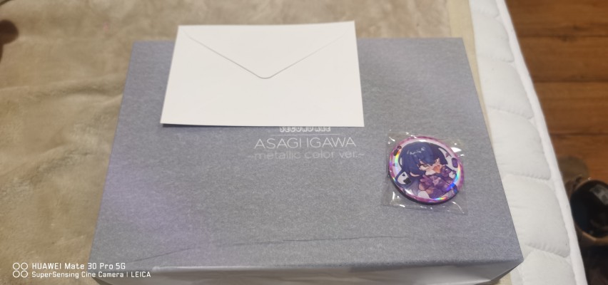 HENTAI ACTION 对魔忍阿莎姬 井河阿沙姬 ～金属配色～