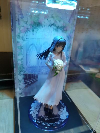 Coreful  青春猪头少年不会梦到怀梦美少女 牧之原翔子