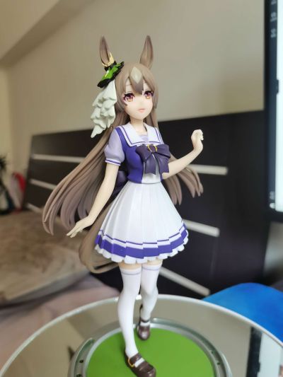 赛马娘 里见光钻