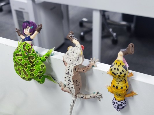 勇者斗扭蛋 诺亚小镇篇