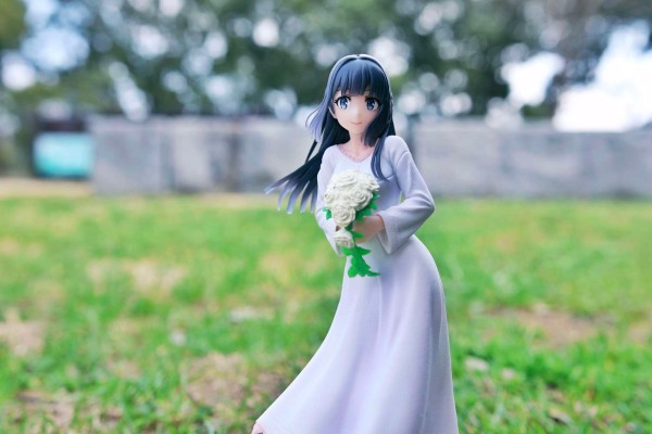 Coreful  青春猪头少年不会梦到怀梦美少女 牧之原翔子