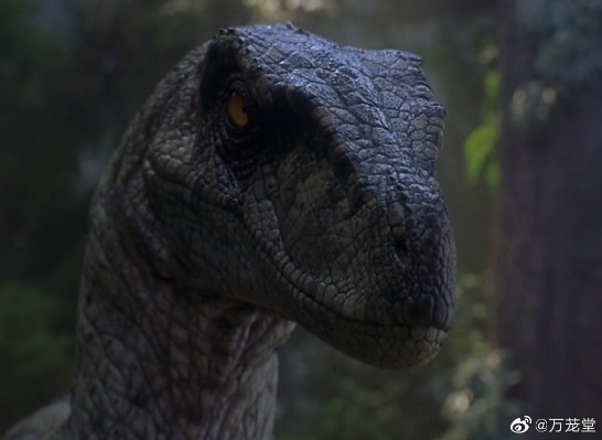 侏罗纪公园3 雌性迅猛龙（恐爪龙）