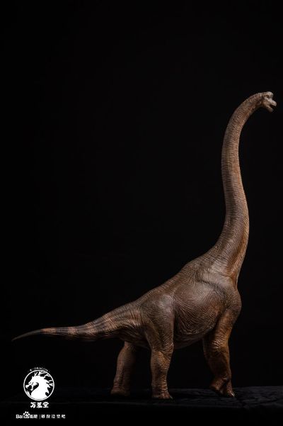 腕龙（长颈巨龙）