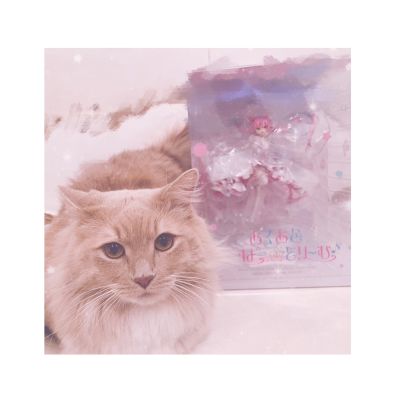 hololive 凑阿库娅 阿库娅色超级☆梦想♪