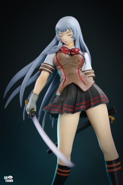 一騎当千 Dragon Destiny 趙雲子龍