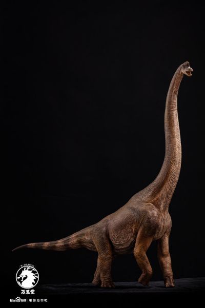 腕龙（长颈巨龙）