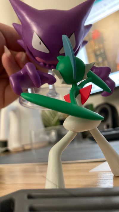 宝可梦比例世界 丰缘地区 满充+艾路雷朵