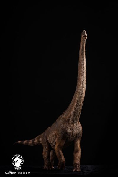 腕龙（长颈巨龙）