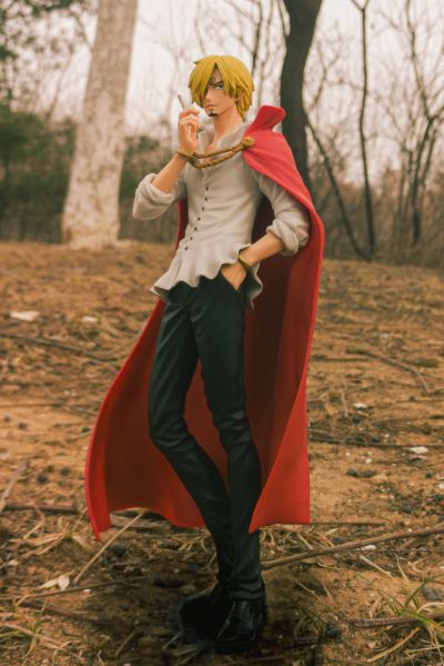 Portrait.Of.Pirates　海贼王