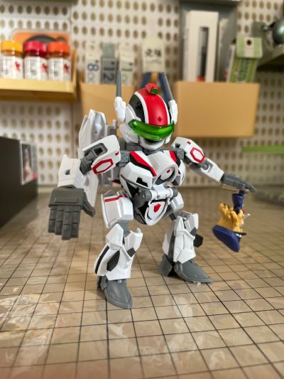 TINY SESSION 超时空要塞F VF-25F 弥赛亚女武神(有人专用) 与雪莉