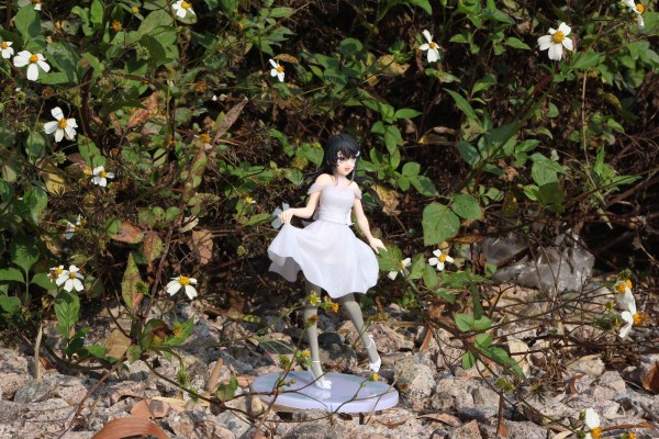 Coreful Figure 青春猪头少年不会梦到兔女郎学姐 樱岛麻衣 ~水晶礼服~ 中国限定