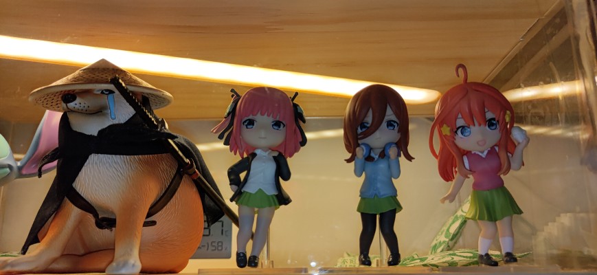 迷你手办系列 五等分的新娘∬ 中野五月 PLUM限定 开心吃肉包