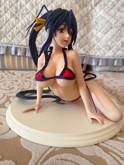 恶魔高中D×D 姫岛朱乃 泳装