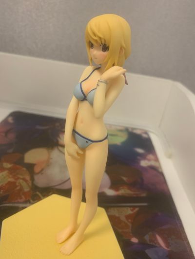 沙滩女王  IS〈无限斯特拉托斯〉 夏洛特・迪诺亚