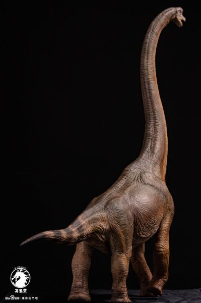 腕龙（长颈巨龙）
