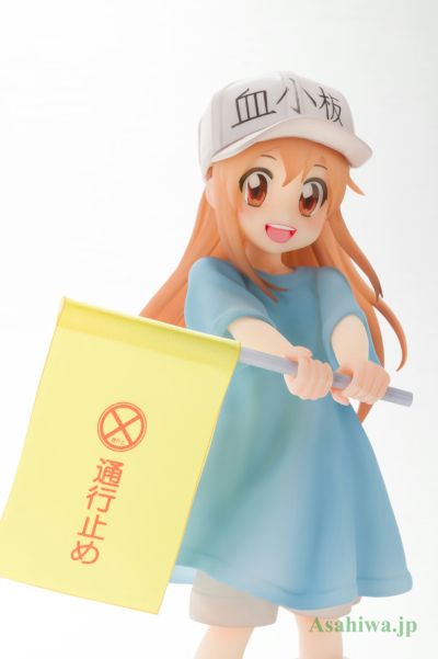 工作细胞 血小板