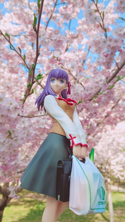 Fate/hollow ataraxia 间桐樱 夕支度Ver.