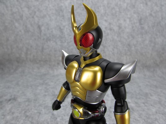 Figure-rise Standard 假面骑士亚极陀 假面骑士亚极陀 大地形态