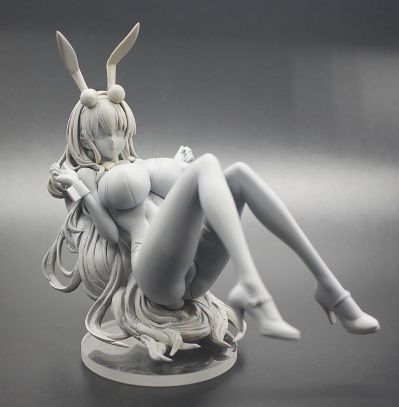 碧蓝航线 北卡罗来纳 秘密的换装练习？