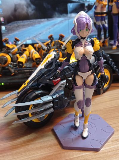 猎手诗篇系列  安吉拉 HP-002