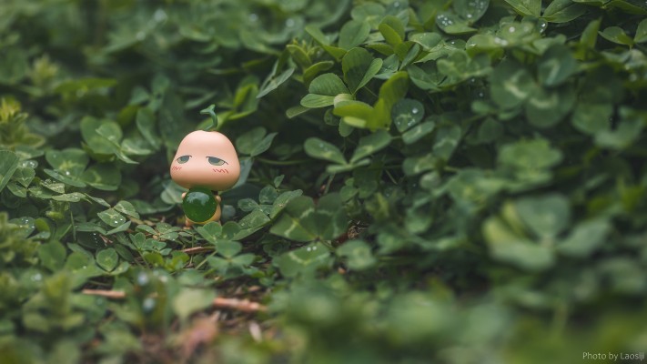 仙剑奇侠传三 唐雪见 朝花映雪