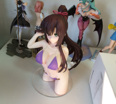 噬血狂袭 煌坂纱矢华 布泳装ver.