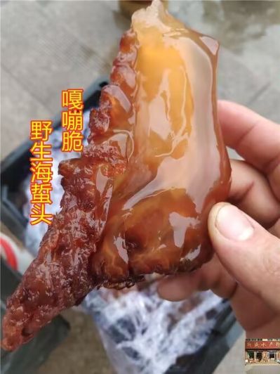 新世纪福音战士 花之语 绫波零