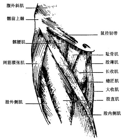 神曲的魔导书 美夜