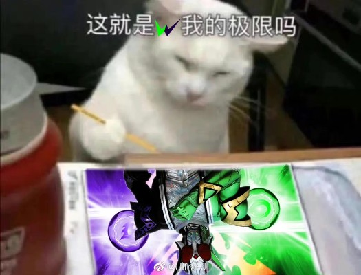 S.H.Figuarts(真骨雕制法)   假面骑士双骑  疾风王牌 极致形态