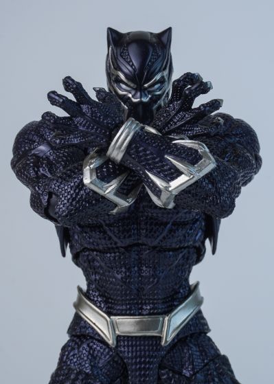 惊奇山口式 编号030 黑豹