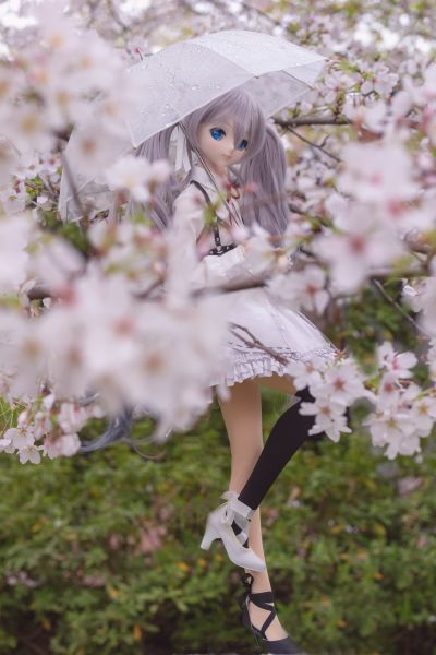 Dollfie Dream DD VOCALOID 樱未来