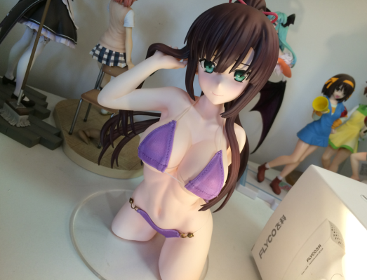 噬血狂袭 煌坂纱矢华 布泳装ver.