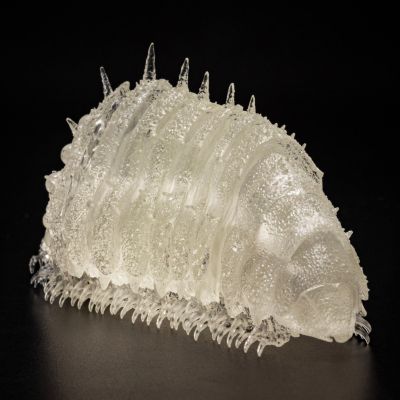 竹谷式自在置物 风之谷 王虫（小） 透明版