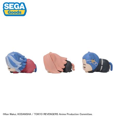 重生之道 午睡猫咪4