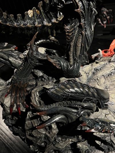 PMDHAL-05 异形大战铁血战士: 第三次世界大战 獠牙外星人 Bonus版