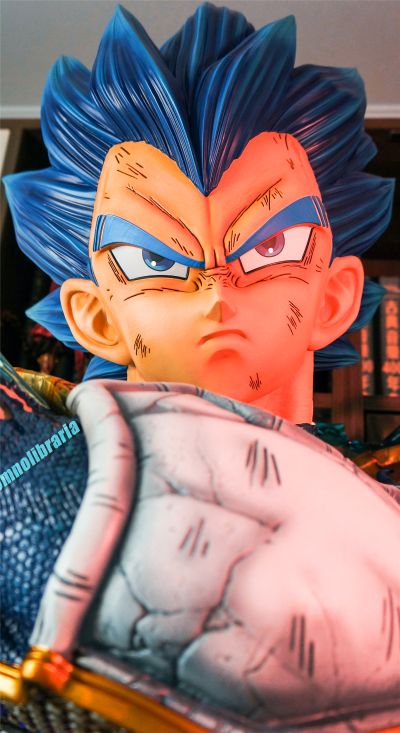 斩服少女 缠流子 鲜血更衣Ver.