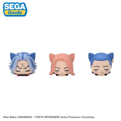 重生之道 午睡猫咪4