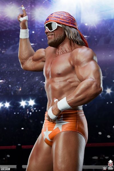 Macho Man Randy
