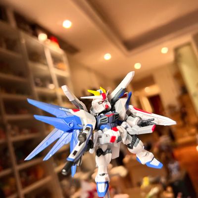 机动战士高达 重装×重奏 EX  自由高达 GCP版