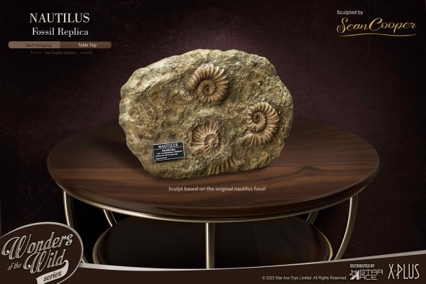 史前动物系列 鹦鹉螺